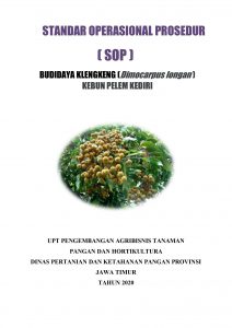 STANDAR OPERASIONAL PROSEDUR (SOP) BUDIDAYA KLENGKENG (Dimocarpus longan )